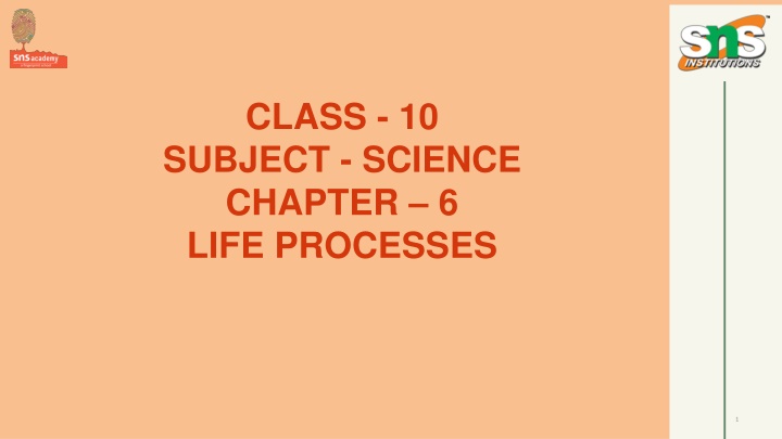 Life Processes and Nutrition in Living Organisms