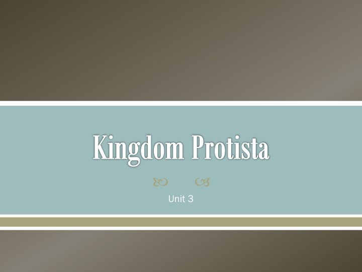 The Fascinating Kingdom Protista: Classification and Characteristics