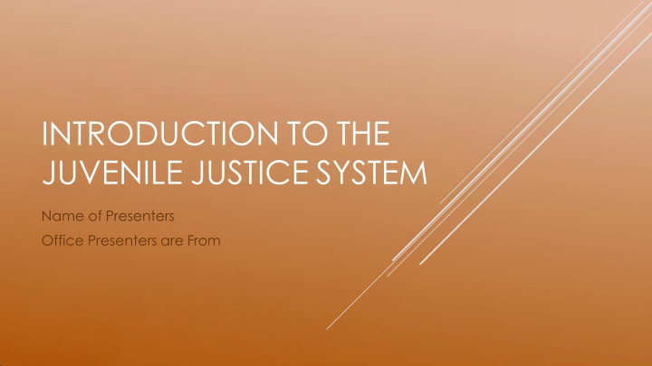 The Juvenile Justice System: A Comprehensive Overview
