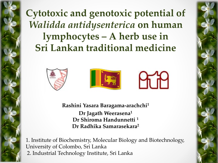 Cytotoxic and Genotoxic Potential of Walidda Antidysenterica on Human Lymphocytes: A Study in Sri Lankan Traditional Medicine