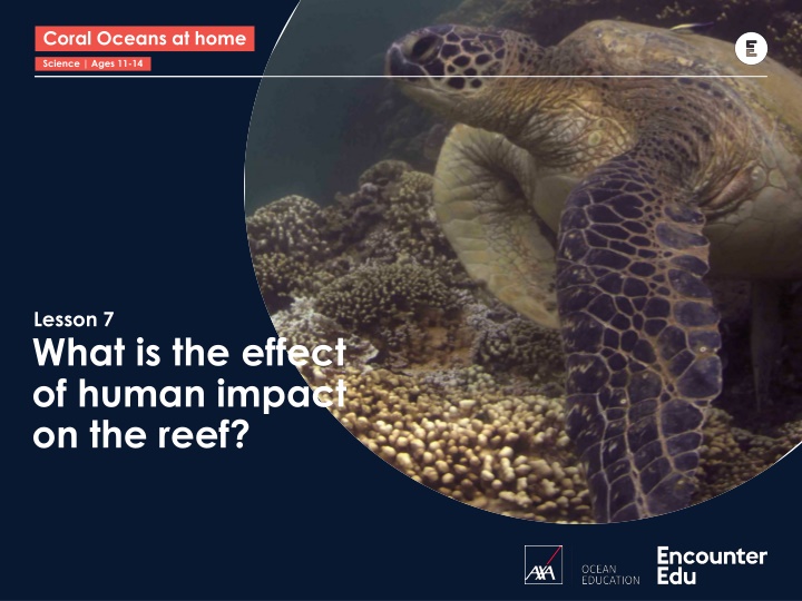 Impact of Human Activities on the Great Barrier Reef