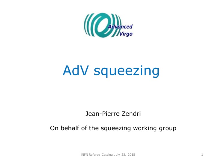 Advanced Virgo Squeezing Working Group Overview