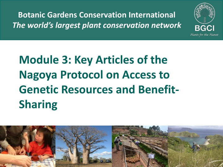The Key Articles of the Nagoya Protocol on Access to Genetic Resources and Benefit-Sharing