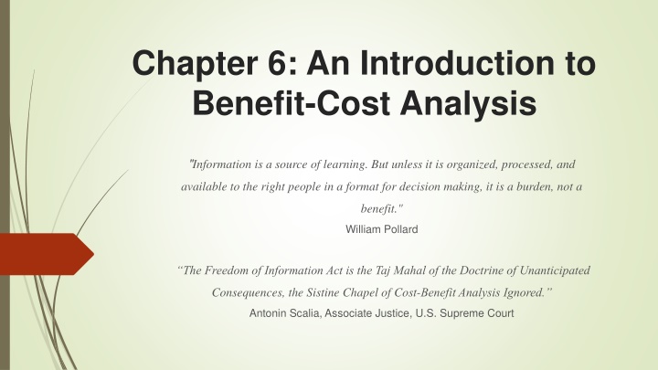 Overview of Benefit-Cost Analysis in Policy Decision Making