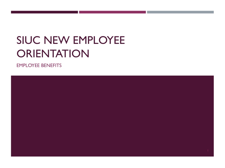 SIUC Employee Benefits and Information