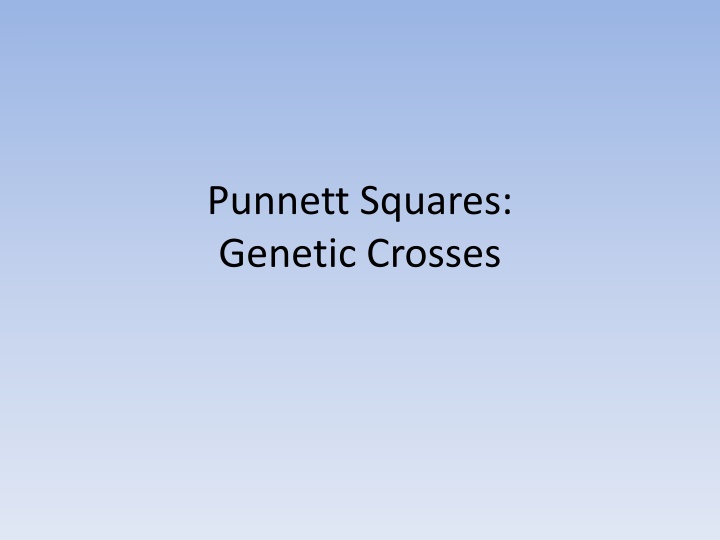 Punnett Squares and Genetic Crosses
