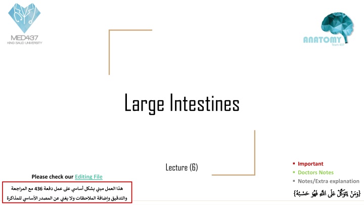 The Anatomy of the Large Intestine