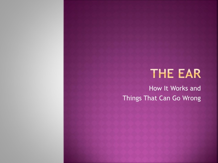 How the Ear Works and Common Issues
