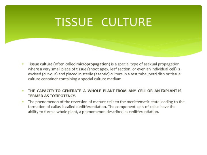 Tissue Culture and Explant Selection in Plant Micropropagation