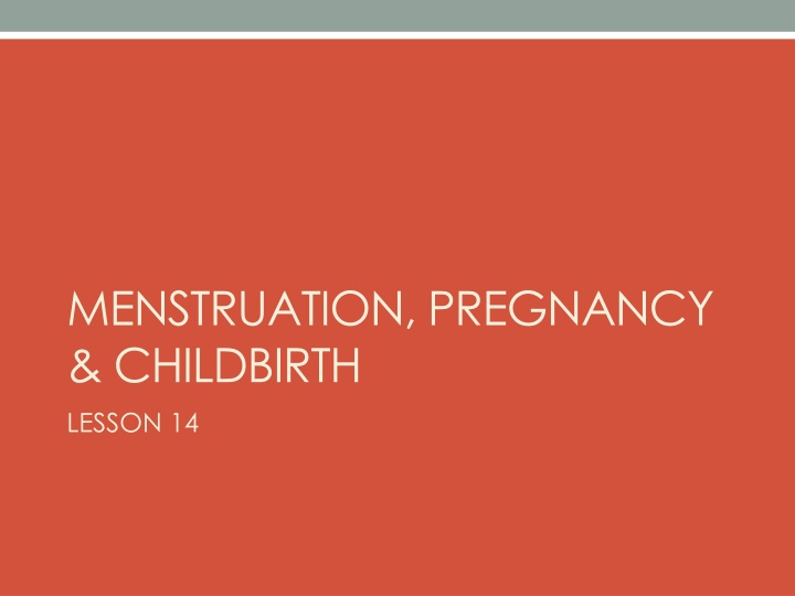 Menstruation, Pregnancy, and Childbirth Lesson 14