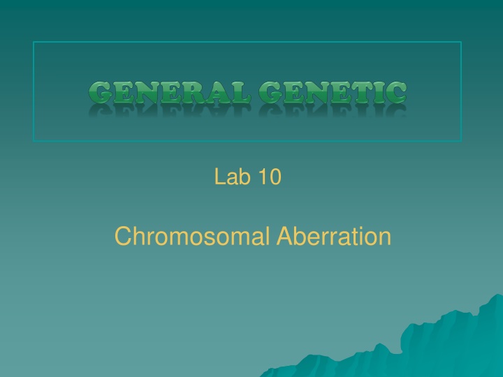 Chromosomal Aberrations and Mutations in Genetics