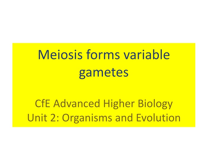 Meiosis and Genetic Variation in Organisms