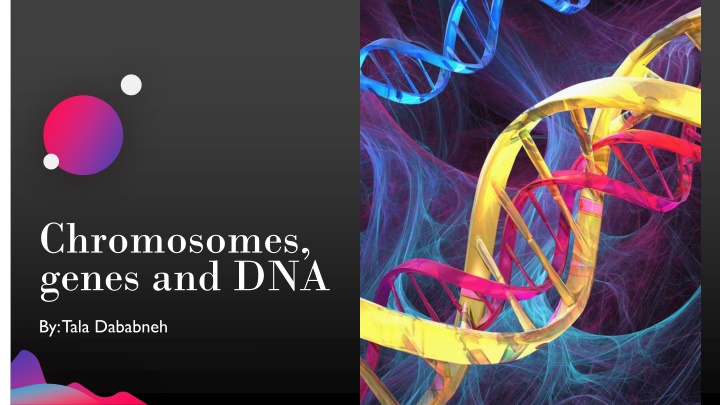 Chromosomes, Genes, and DNA in Genetics