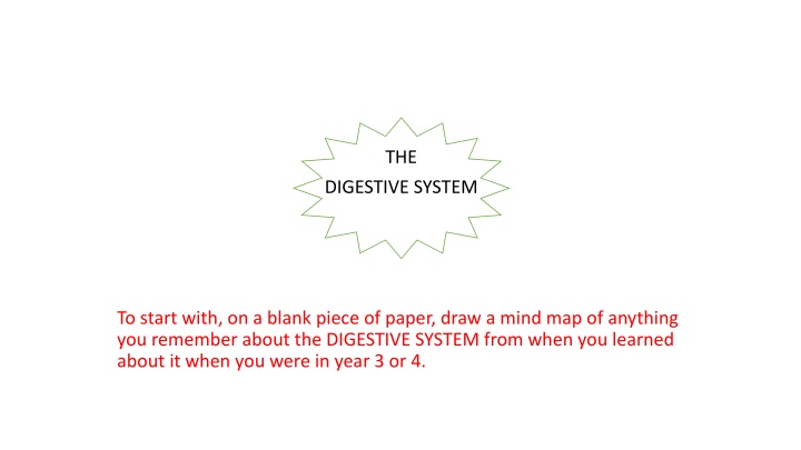 The Human Body: Digestive and Circulatory Systems Exploration