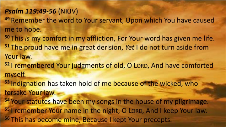 Reflections on God's Word: Encouragement and Hope through Scripture