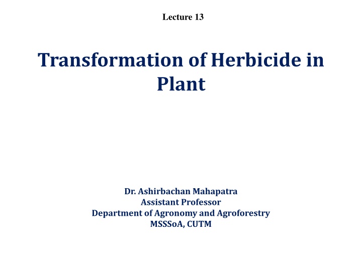 Herbicide Absorption and Translocation Mechanisms in Plants