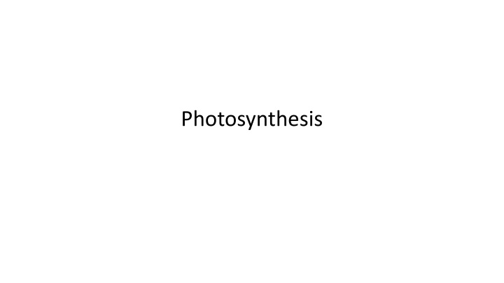 Photosynthesis: A Comprehensive Overview