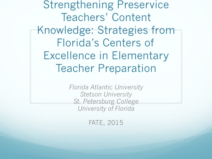 Strategies for Strengthening Preservice Teachers' Content Knowledge in Florida