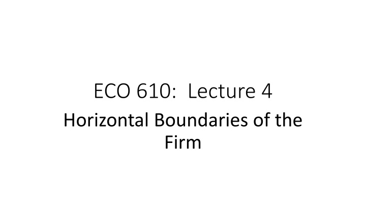 Horizontal Boundaries of Firms in Economics