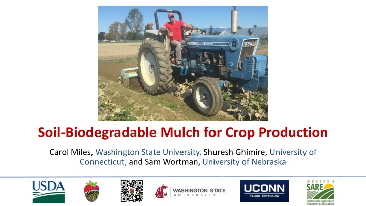 Sustainable Mulching Practices for Enhanced Crop Production