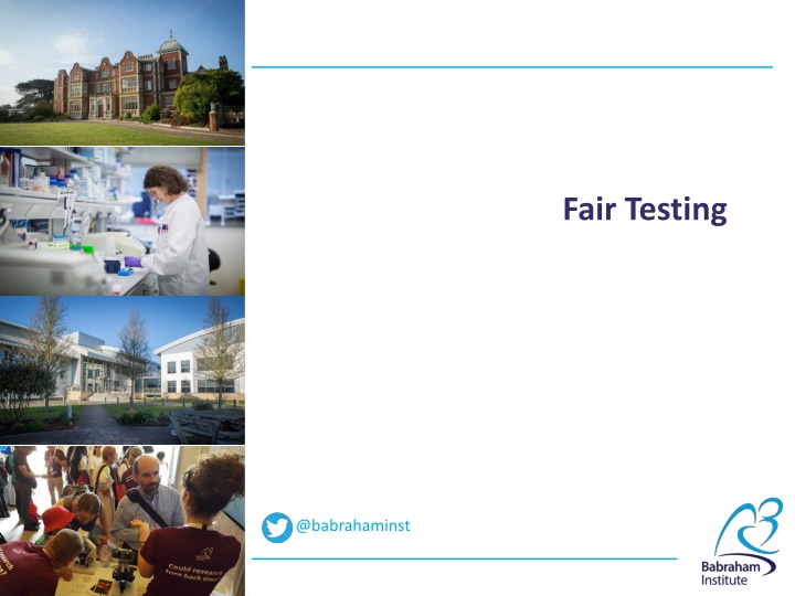 Fair Testing in Experiments