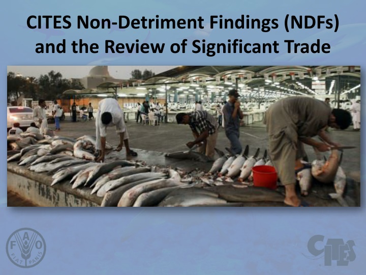 Insights into CITES Non-Detriment Findings and Trade Reviews