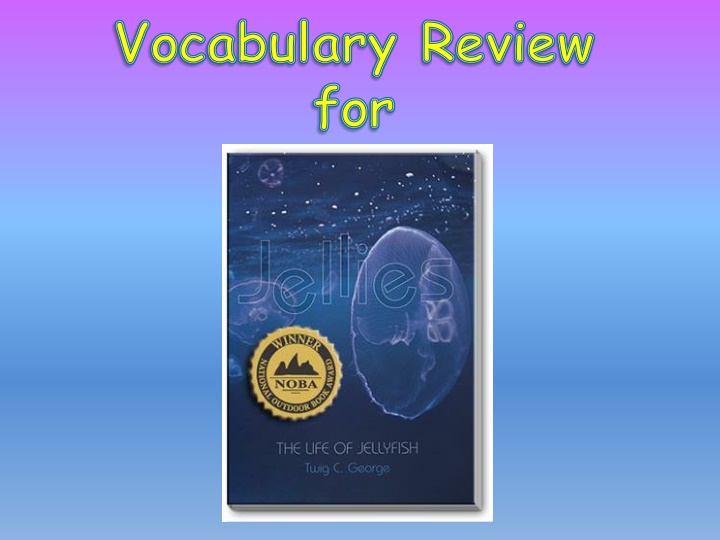 Fun Vocabulary Review Activities for Language Practice