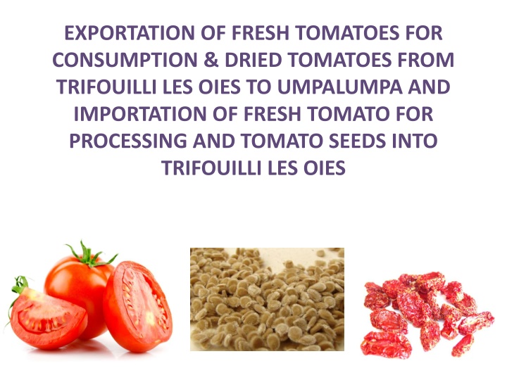 Tomato Exportation and Importation in Trifouilli Les Oies and Umpalumpa