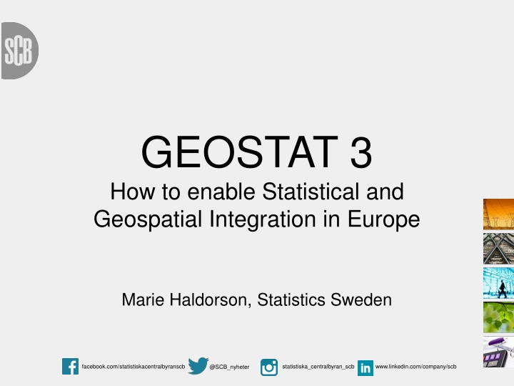 GEOSTAT.3: Statistical and Geospatial Integration in Europe