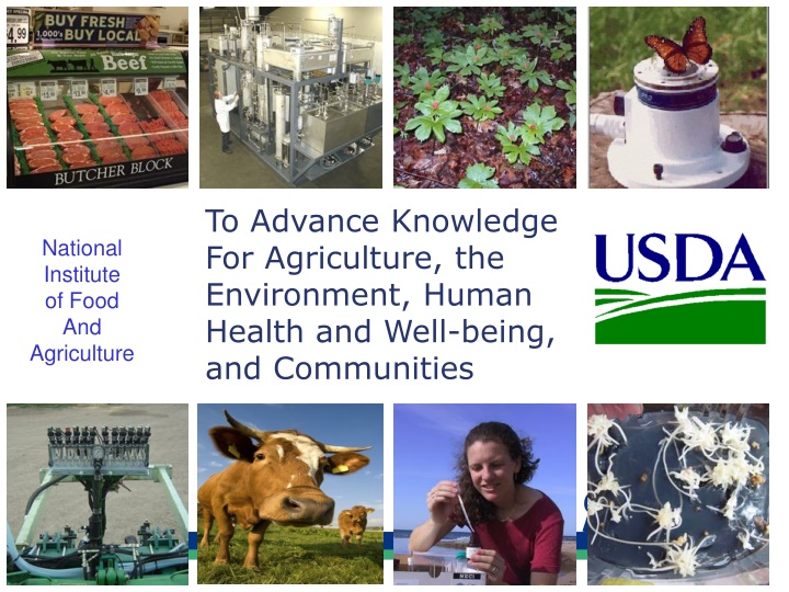 USDA SBIR Program Overview for Innovation in Agriculture and Technology