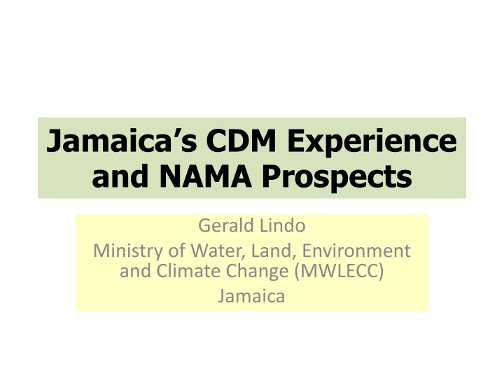 Jamaica's CDM Experience and NAMA Prospects