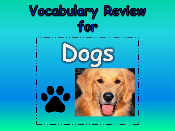 Vocabulary Review for Dogs - Test Your Knowledge!