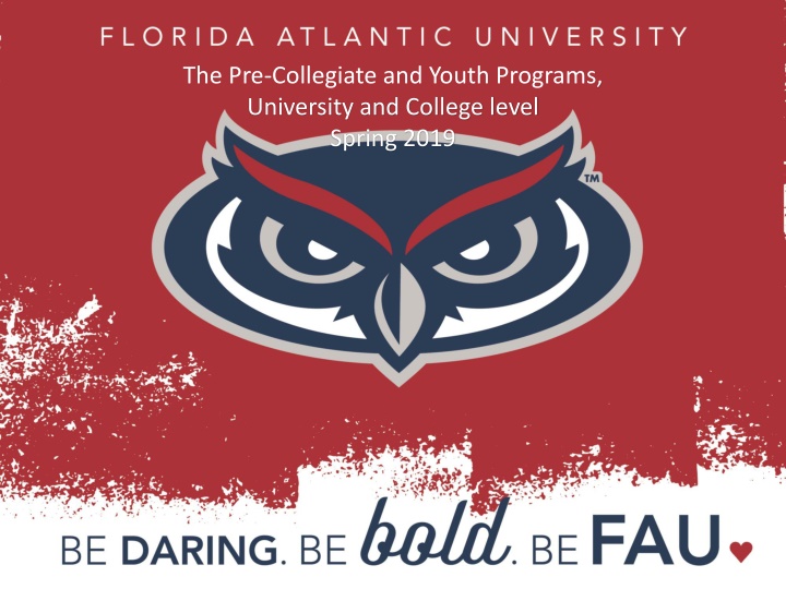 Pre-Collegiate and Youth Programs at University Level Spring 2019