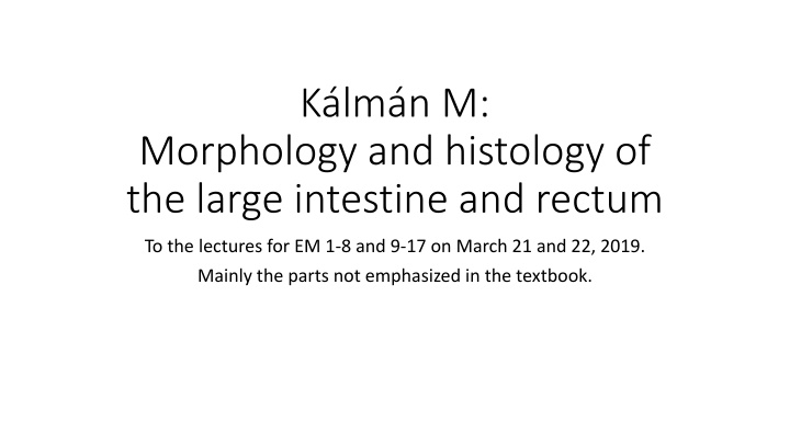 Anatomy Review: Large Intestine and Rectum Histology
