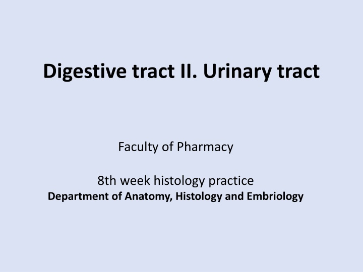 Histology Overview of Digestive and Urinary Tracts in Pharmacy Practice