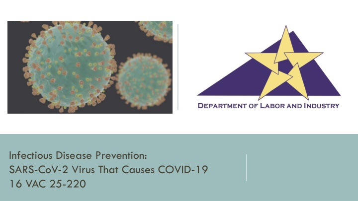 COVID-19: Prevention, Transmission, and Risks