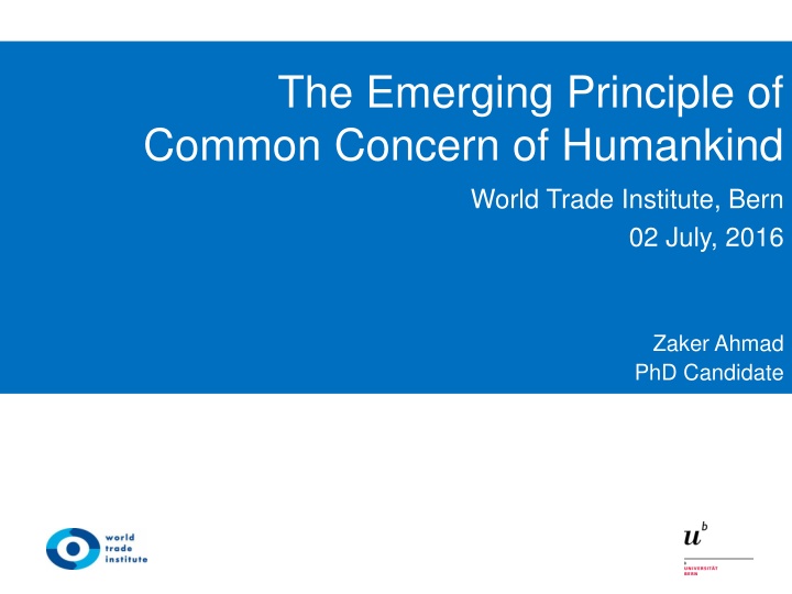 Challenges in Managing Global Common Concerns