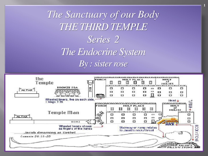The Endocrine System as the Third Temple of our Body