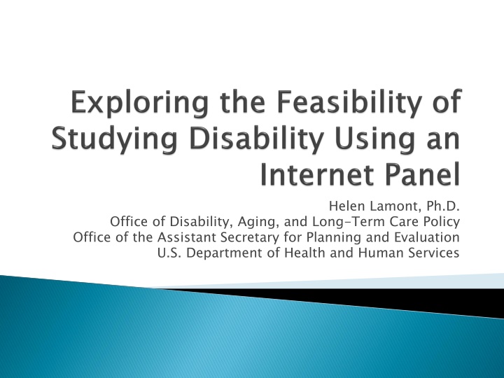 Internet Panel Surveys for Disability Data Collection
