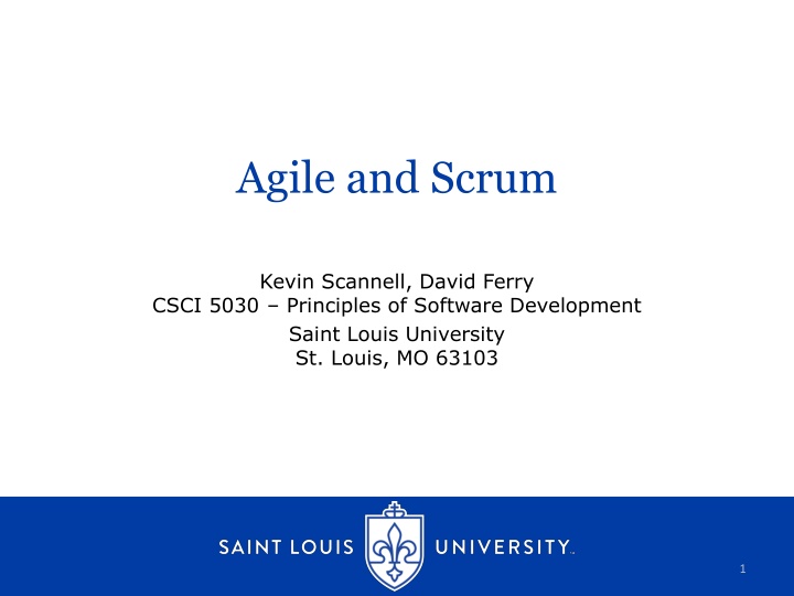 Comprehensive Software Testing Techniques and Agile Methodologies