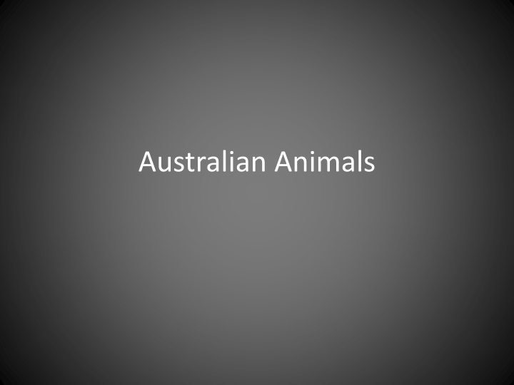 Discovering Australian Wildlife: Kangaroos, Emus, and Koalas