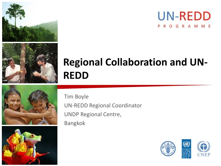 Regional Collaboration and Support in UN-REDD Program