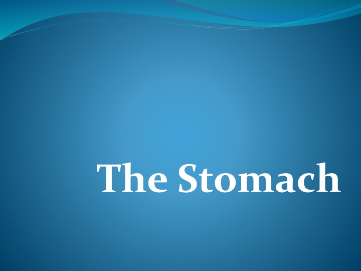 The Anatomy and Function of the Stomach