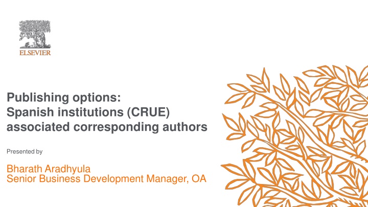 Spanish Institutions Publishing Options Overview