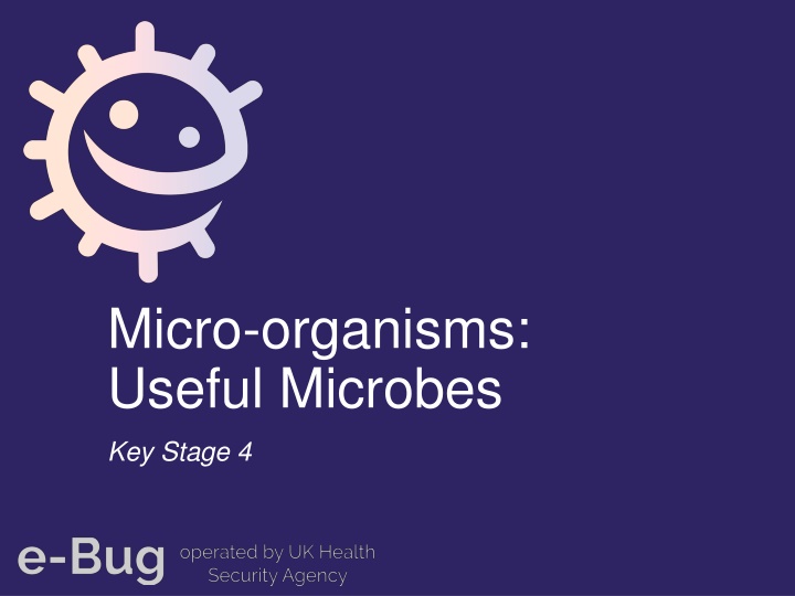 Useful Microbes: Key Information for Students