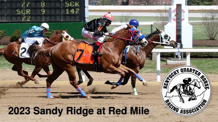 Highlights of Sandy Ridge at Red Mile Horse Racing Event, April 1-6, 2023