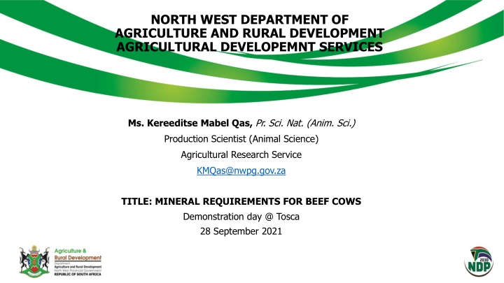 Mineral Requirements for Beef Cows Demonstration Day at Tosca