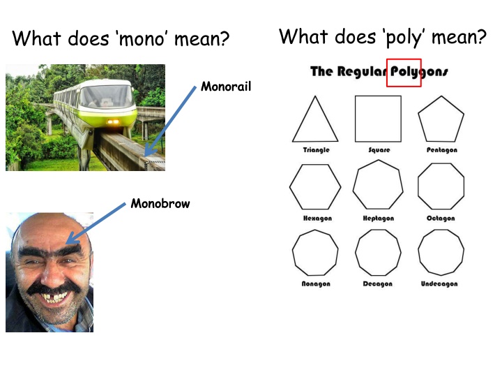 Polymers: Monomers to Polymers