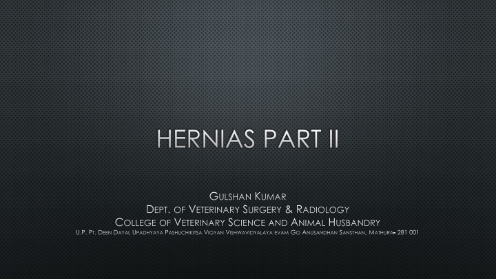 Perineal Hernias in Veterinary Surgery