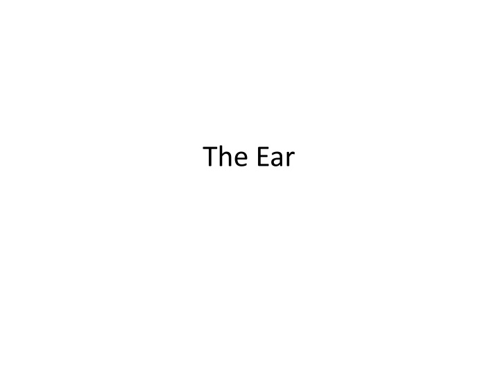 The Anatomy of the Ear